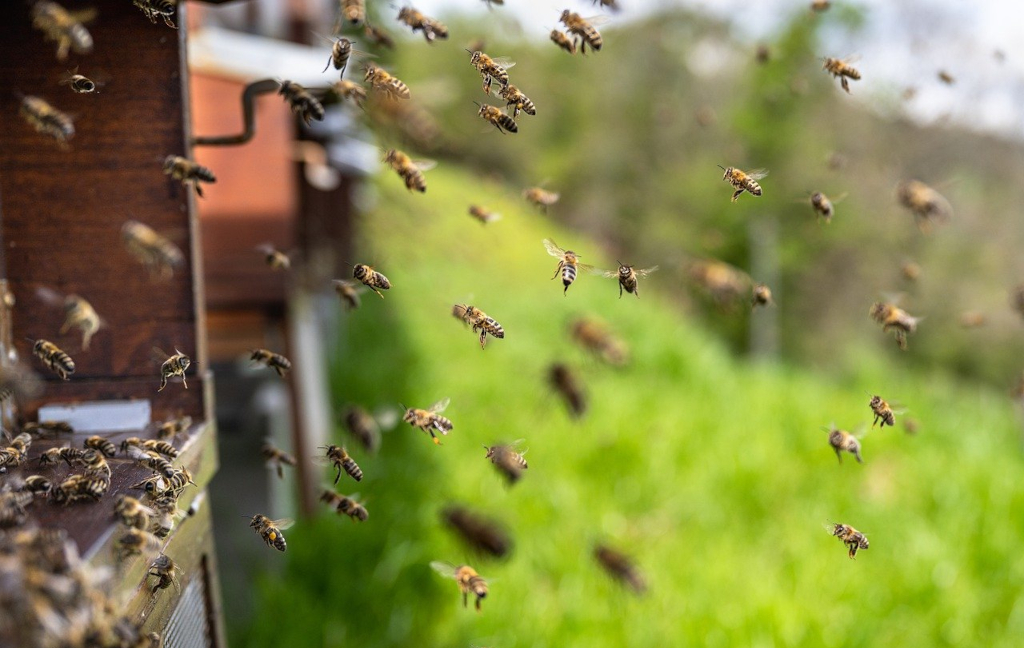 Giardino della Biodiversità e della Legalità